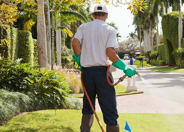 About Spanishburg WV Pest Control